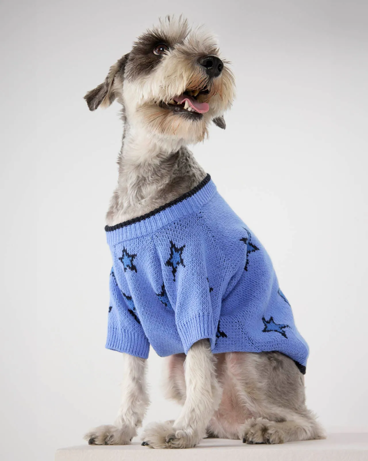 Splendid x Wild One Dog Star Sweater