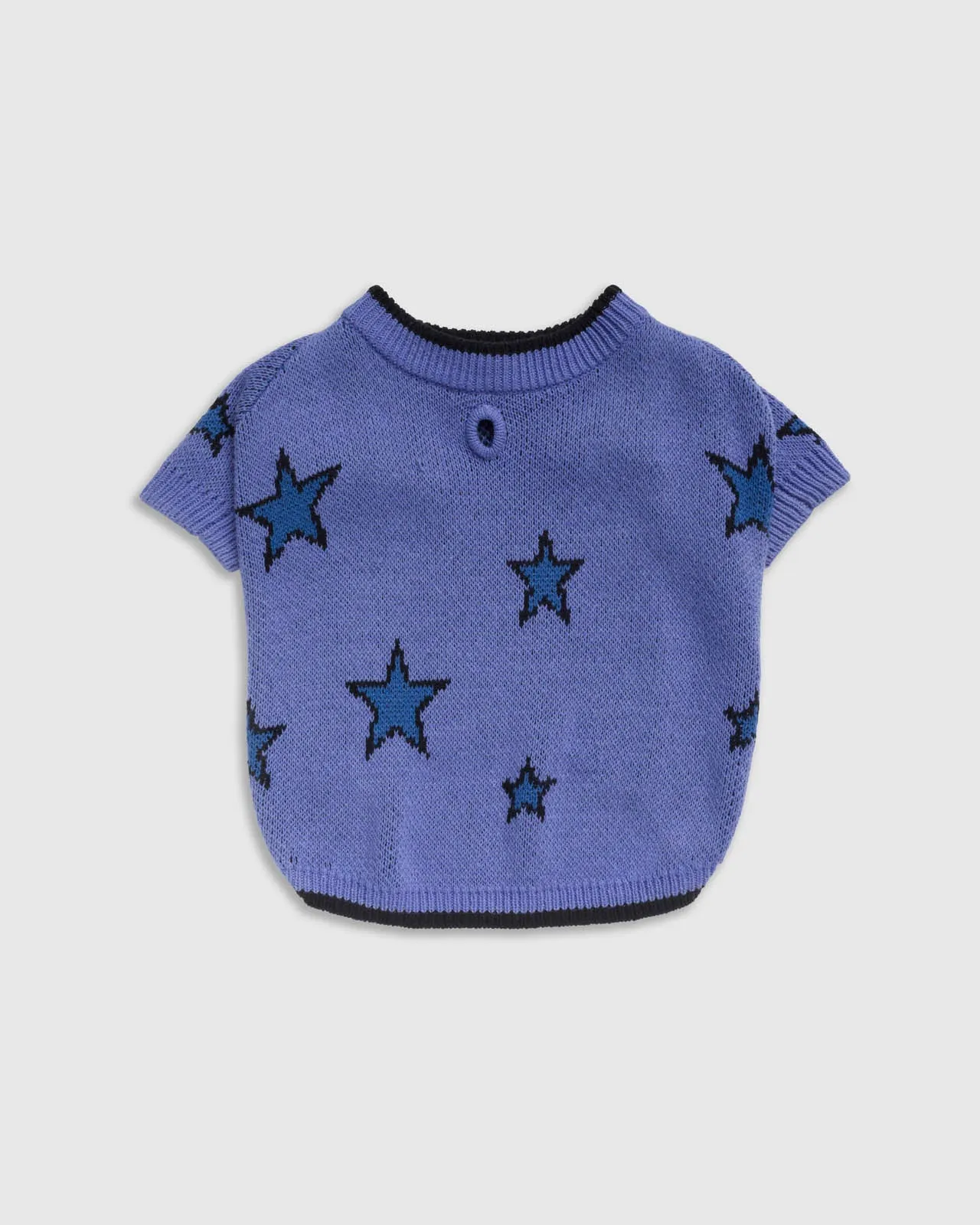 Splendid x Wild One Dog Star Sweater